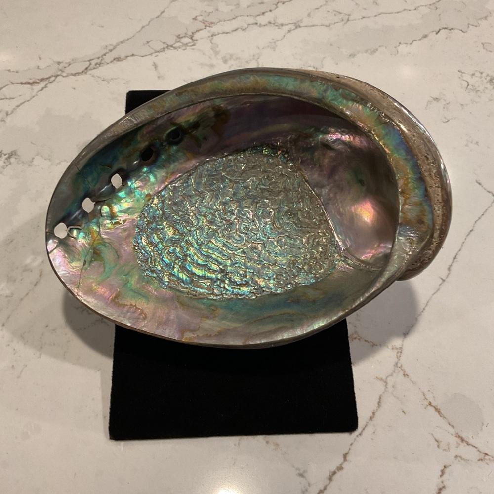 Iridescent Large Abalone Shell - Picture 2 of 8